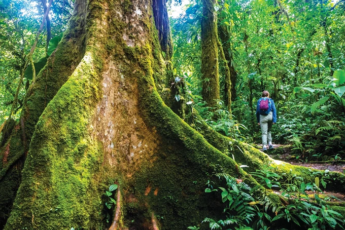 10 ιδέες για 