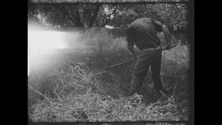 Χρήστος, Ψηφιοποιημένο φιλμ Σούπερ 8, 2015