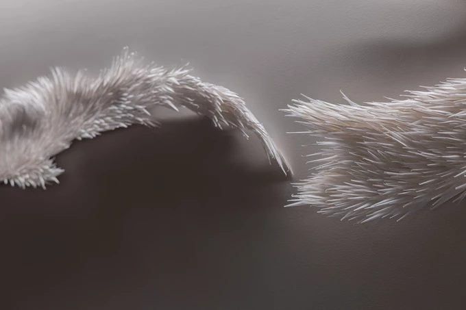 Βραβείο Τέχνης Ίδρυμα Μαμιδάκη 2026