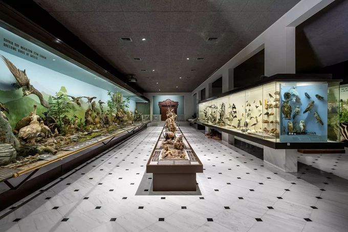 Δωρεάν στο Εθνικό Μουσείο Φυσικής Ιστορίας Γουλανδρή, το πρώτο Σάββατο του μήνα