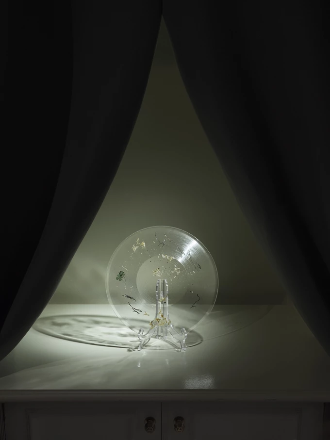 Pond Brain’s Pond Brain