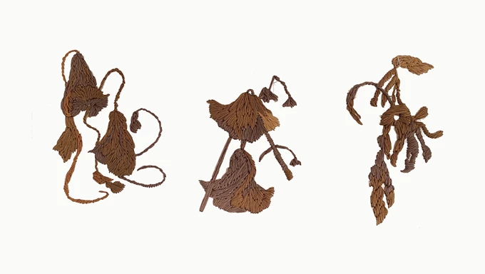 Αλεξία Ψαραδέλη Botanical Relics
