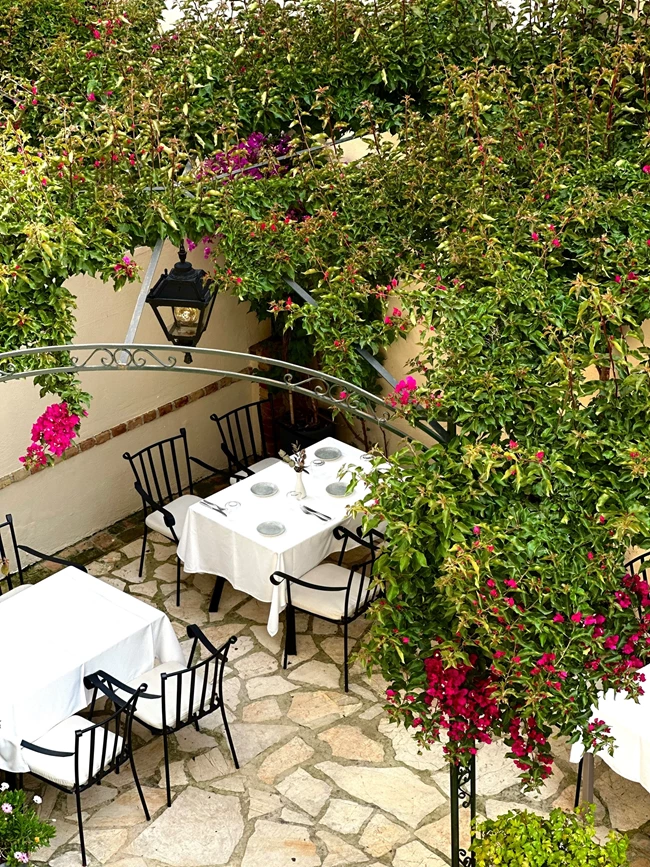 FISHALIDA'S GARDEN