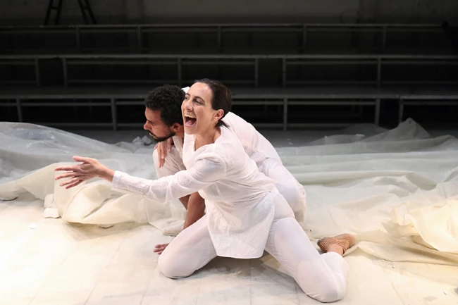 Αντιγόνη, μετέωρη