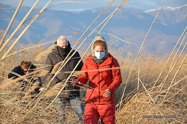 asimina_proedrou_thimonies_bts