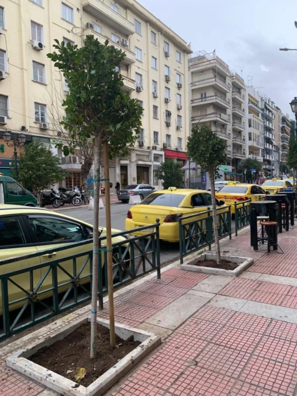 Τα νέα δέντρα που δίνουν ανάσα πρασίνου στο Πασαλιμάνι