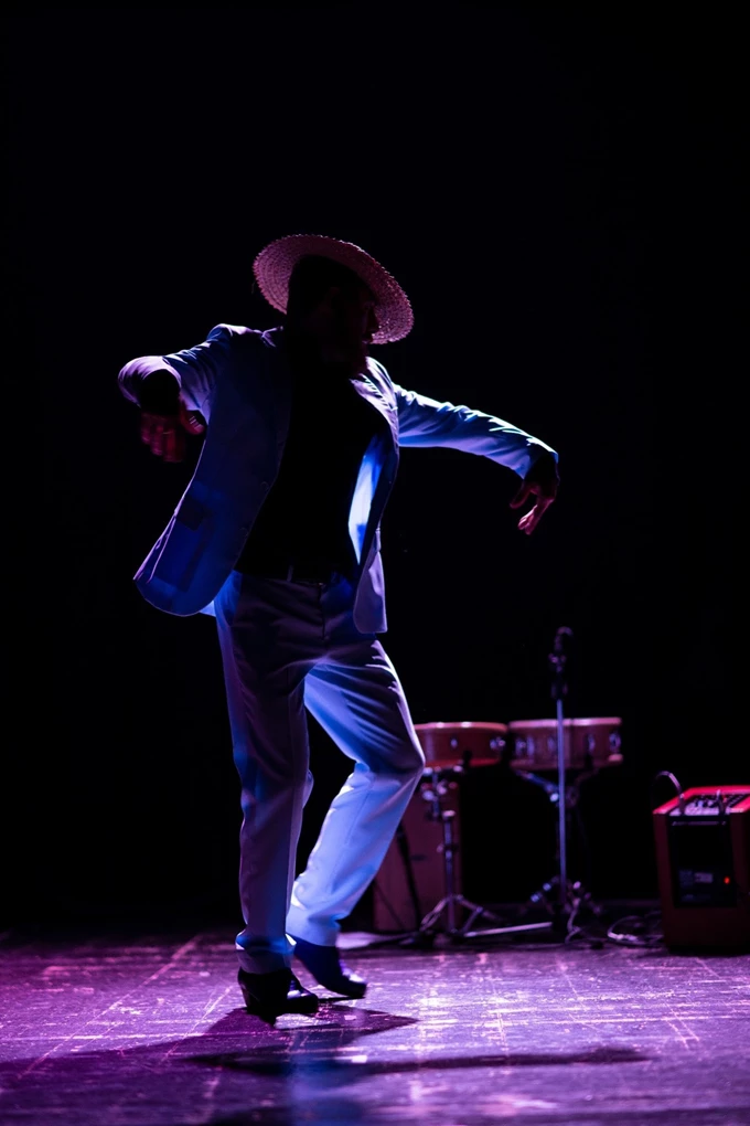Van-Flamenco-Gogh