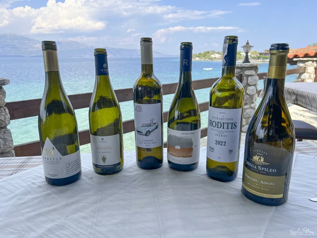 οινοξένεια