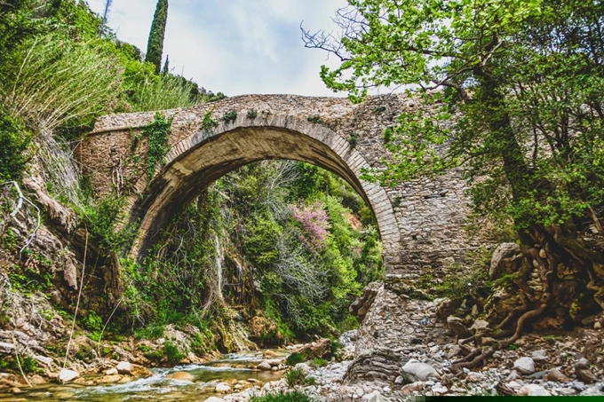 Τριφυλία