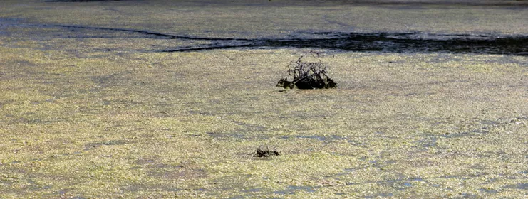 Aνατομία του αεικίνητου I-III 2017/22 Φωτογραφία έγχρωμη σε gaming monitor. Τρίπτυχο 27 Χ 67 εκ. εκάστη. Ευγενική παραχώρηση της καλλιτέχνιδας