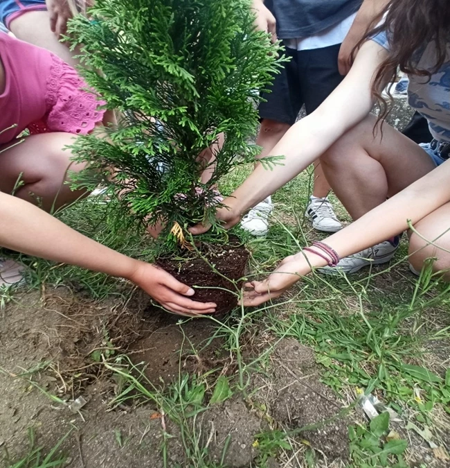 Δάσος φυτεύουμε