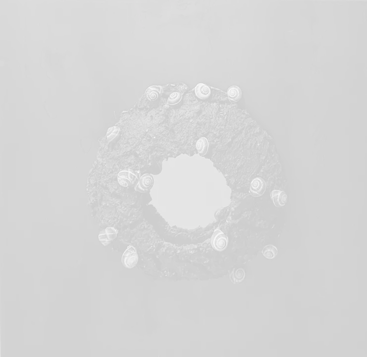 Γιώργος Τσακίρης, «Χωρίς Τίτλο», 2020, Μικτή τεχνική (σίδερο, χώμα, σαλιγκάρια), 94 x 94 x 3 εκ