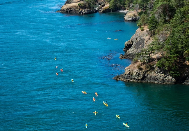 Marbella Kayak