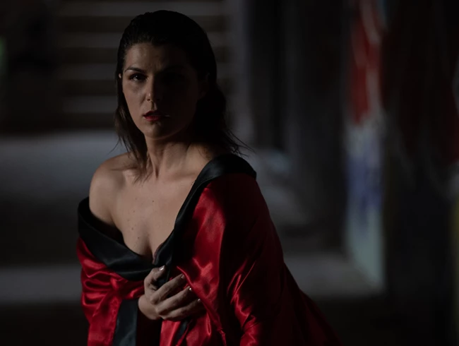 Το μπορντέλο Της Μαντάμ Ρόζας