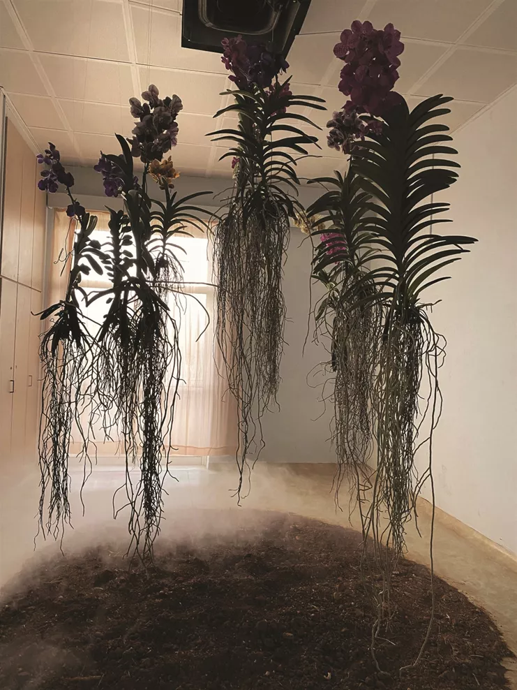 Nadia Skordopoulou - Your soul that never wears, Your spirit that never tears (2022)