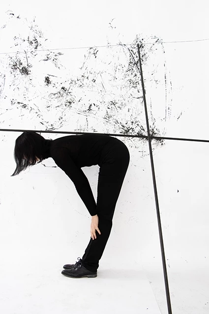 combined Potential Project