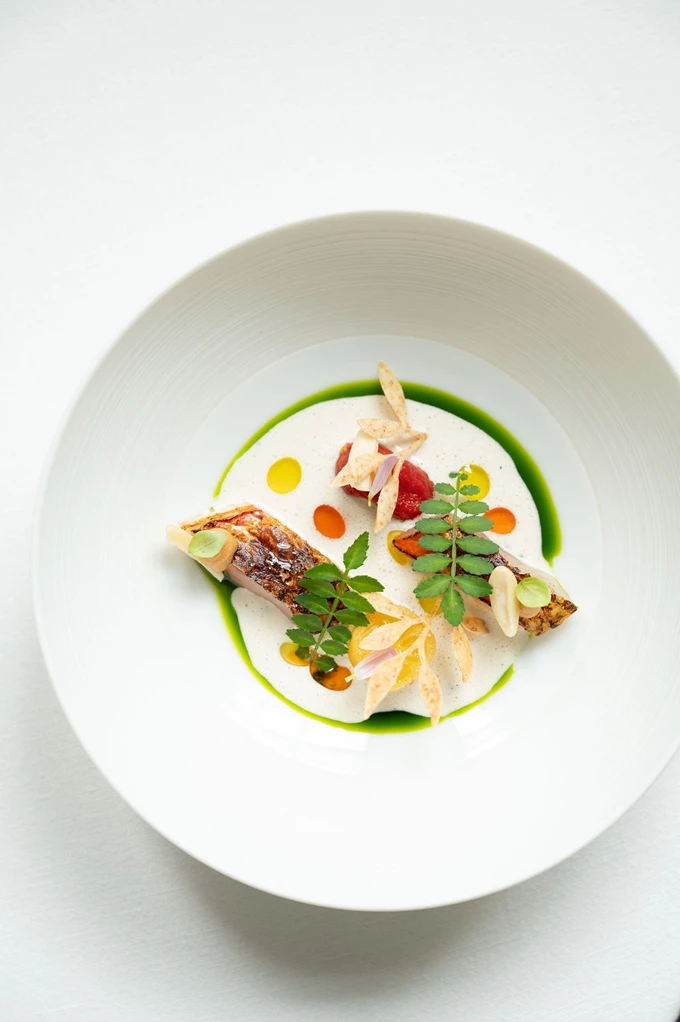 Το Makris Athens υποδέχεται το διάστερο Da Terra από το Λονδίνο 1