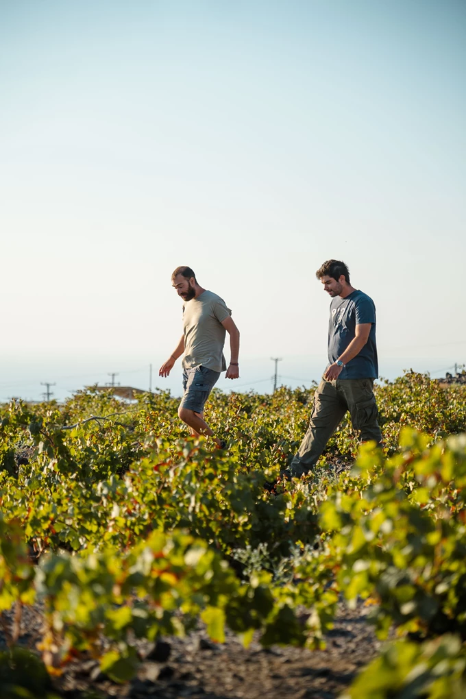 Domaine Sigalas