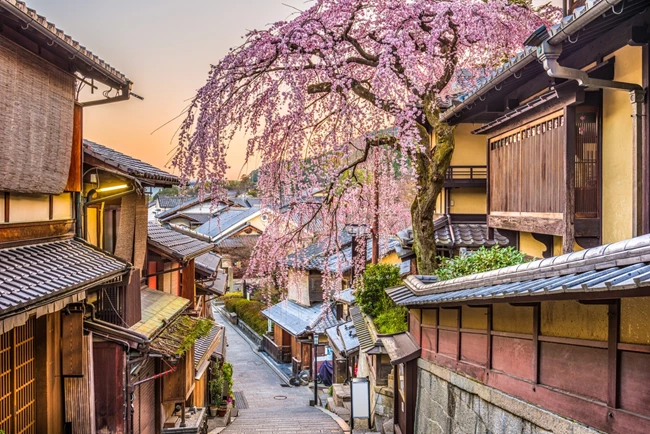 Το Κιότο και οι κερασιές του