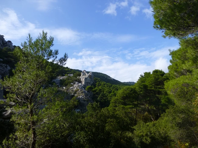 Ημερίδα