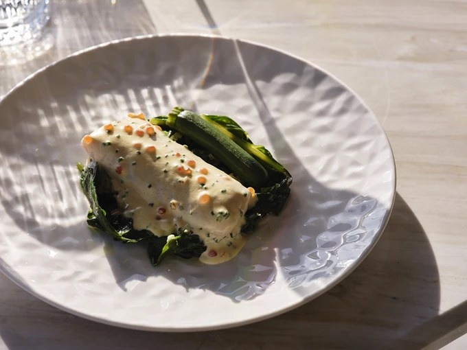 Botany Roof Garden at Acropolis