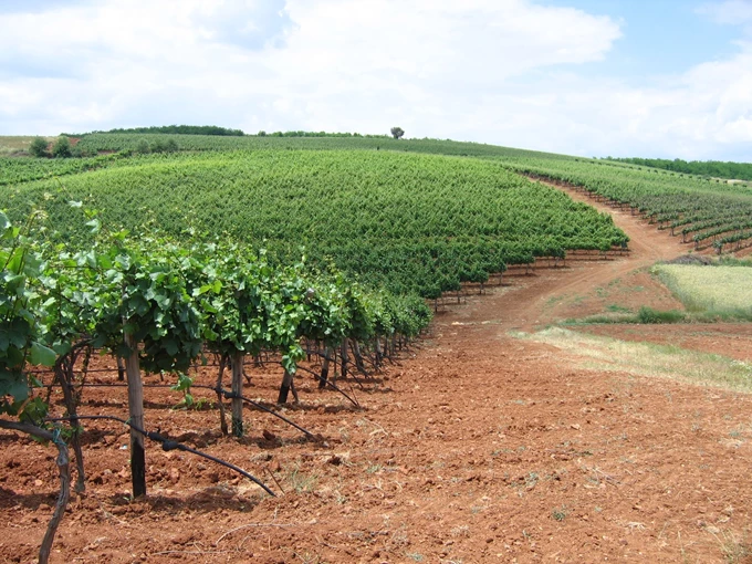 Domaine Kikones