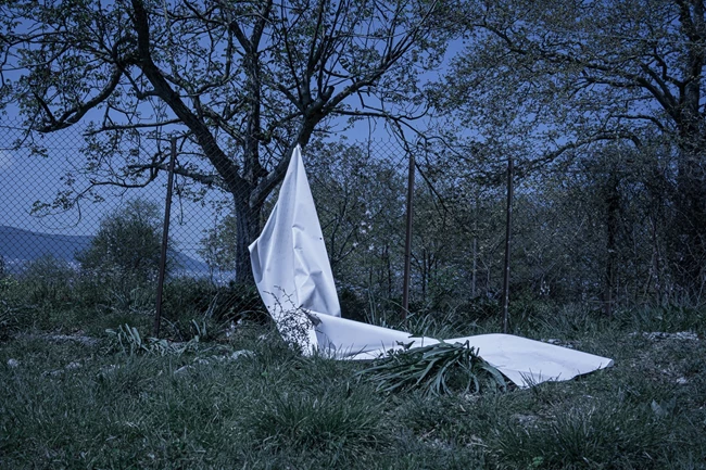 Δήμητρης Μυτάς ΜΩΒ