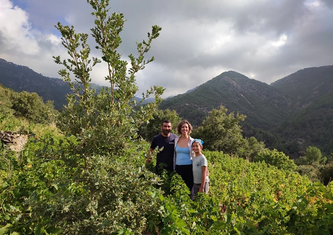 Ανηφορίζοντας στους αμπελώνες των