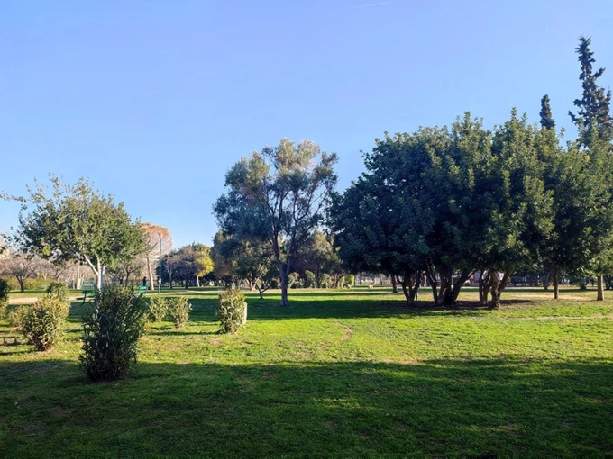 Ακαδημία Πλάτωνος
