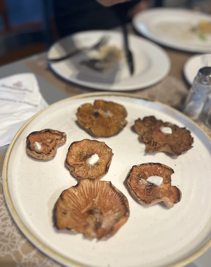 Μανιτάρια Αρναίας