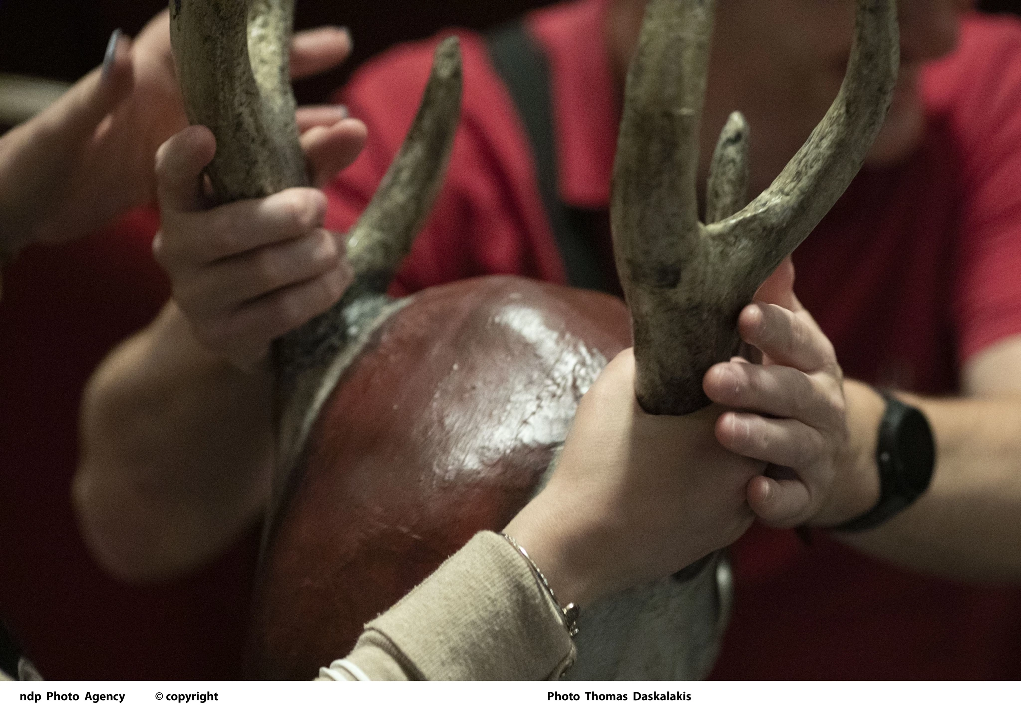 Φάουστ Άρης Μπινιάρης καθολική προσβασιμότητα