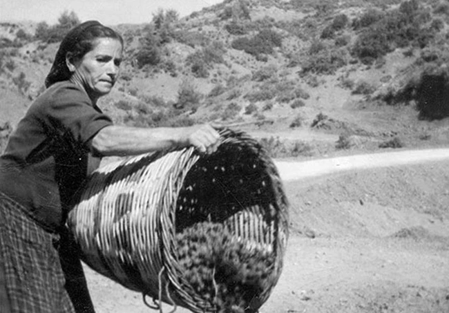 Γιατί έπρεπε να δημιουργηθεί ο Συνεταιρισμός της Σάμου;