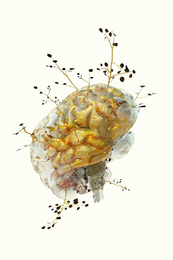 Phytobiosomes Costas Picadas