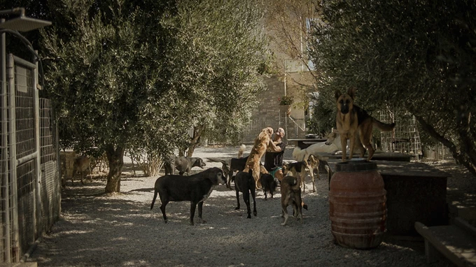 Τάκης.