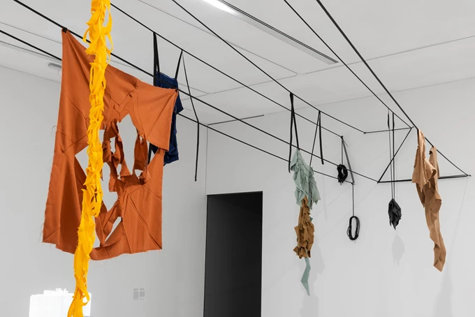 Θαλασσόκαμπος ΕΜΣΤ