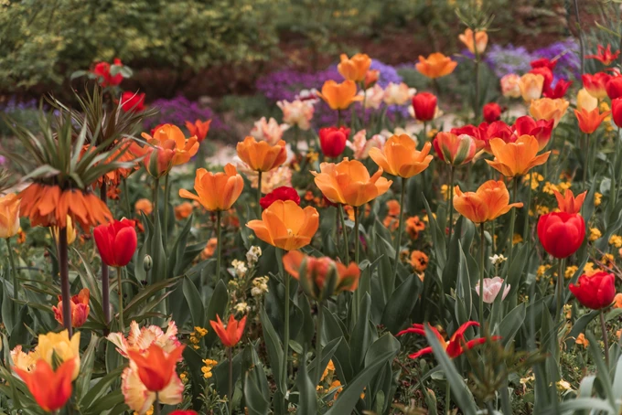 Giverny-Monet
