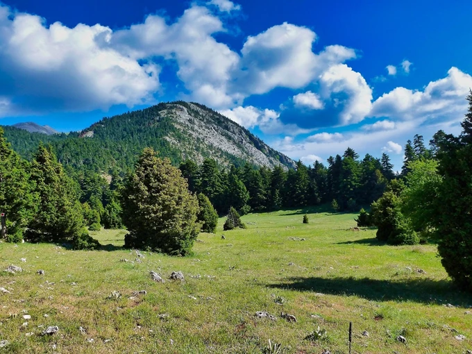 Πάρνωνας