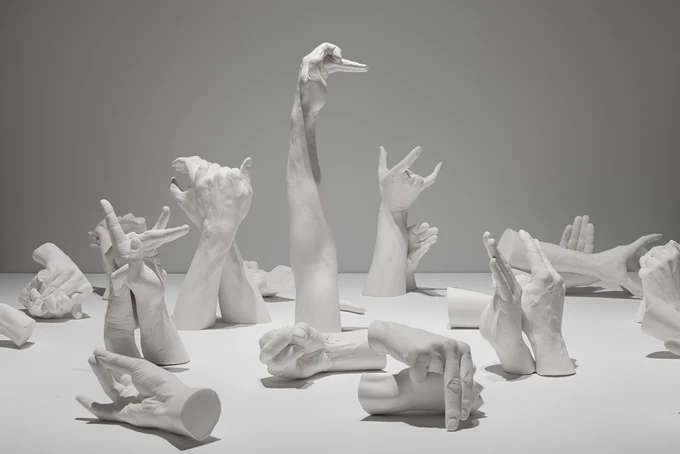 Coates why Look at animals Ζώα ΕΜΣΤ έκθεση