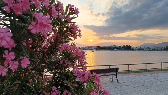 Νέα Αρτάκη Εύβοια, ουζερί για θαλασσινά, Σαρακοστή, Καθαρά Δευτέρα