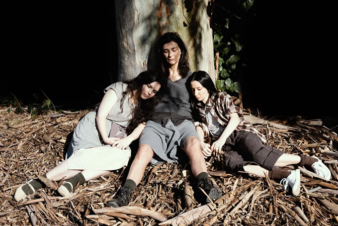 Το δέντρο που ματώνει