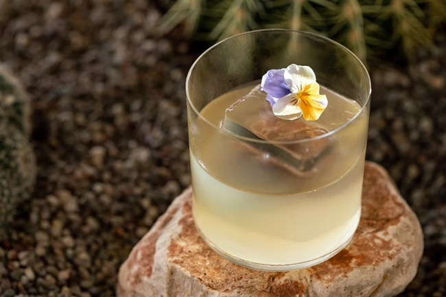 Barro Negro x Helios @FS Athens 1