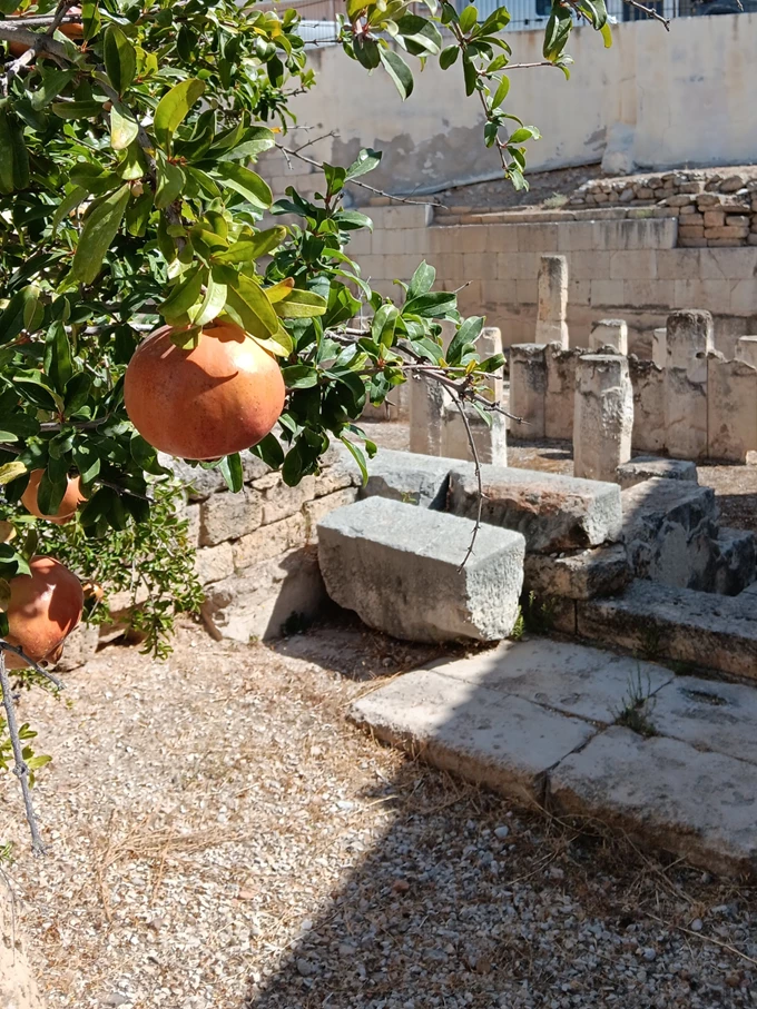 Μέγαρα