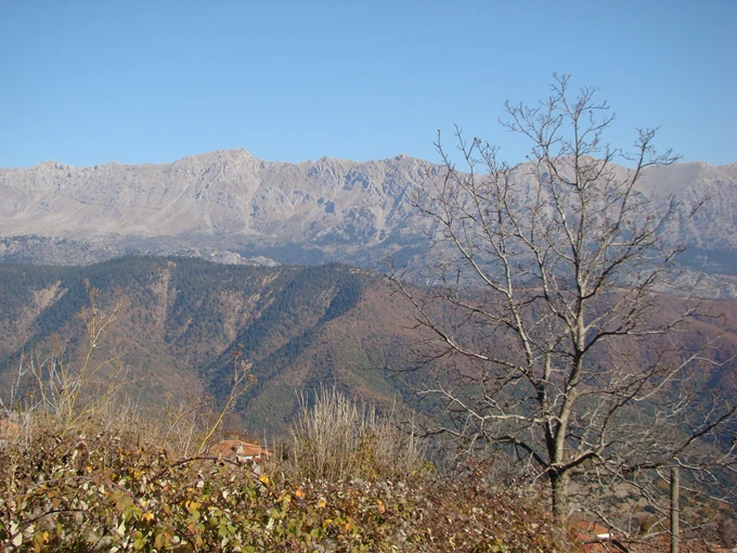 Βαρδούσια