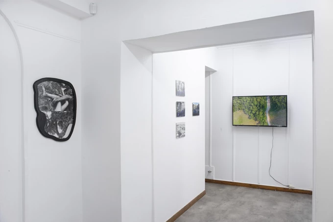 Ecofeminisms Today, callirrhoe, εκθεση, 2024