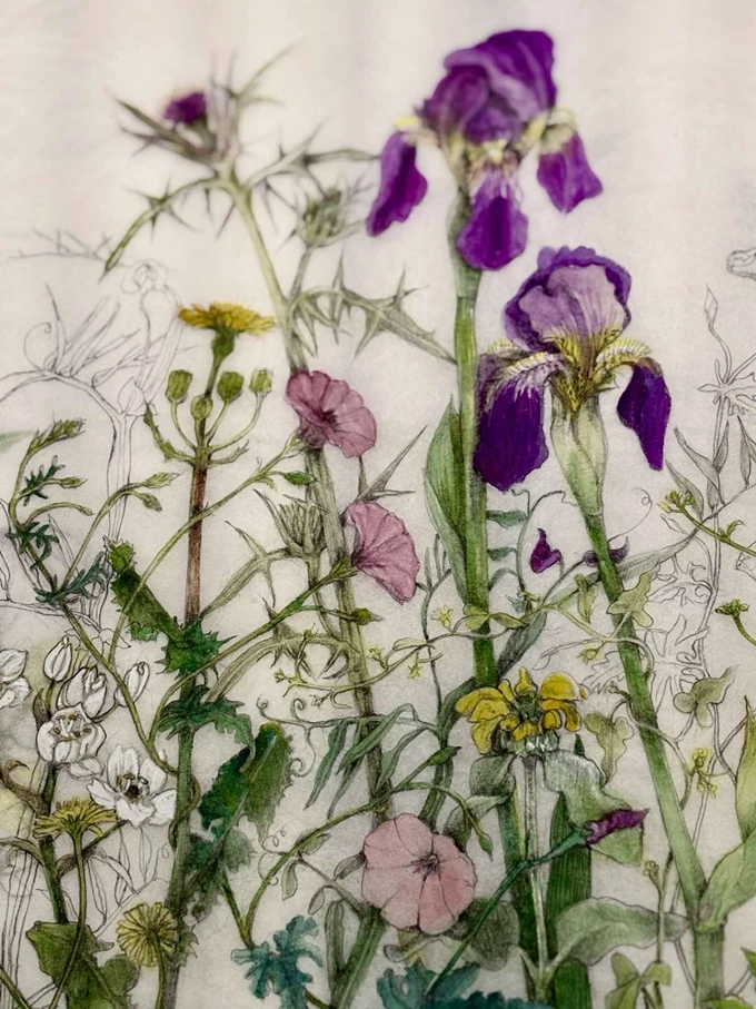 JUDITH ALLEN EFSTATHIOU_