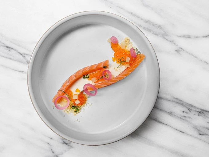 Emma Bengtsson Sani Gourmet 2025