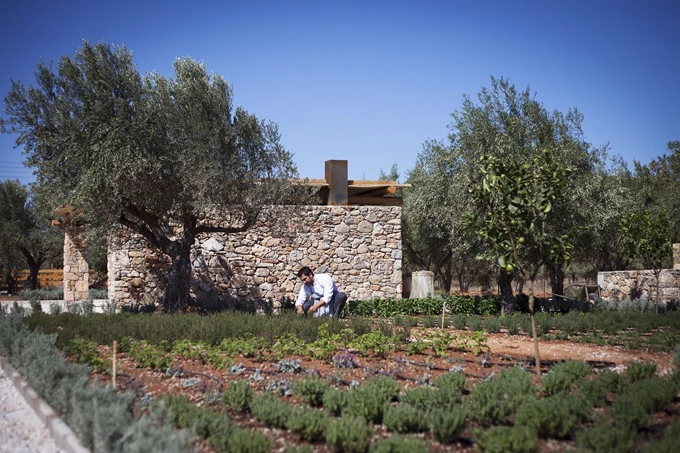 The Margi Farm