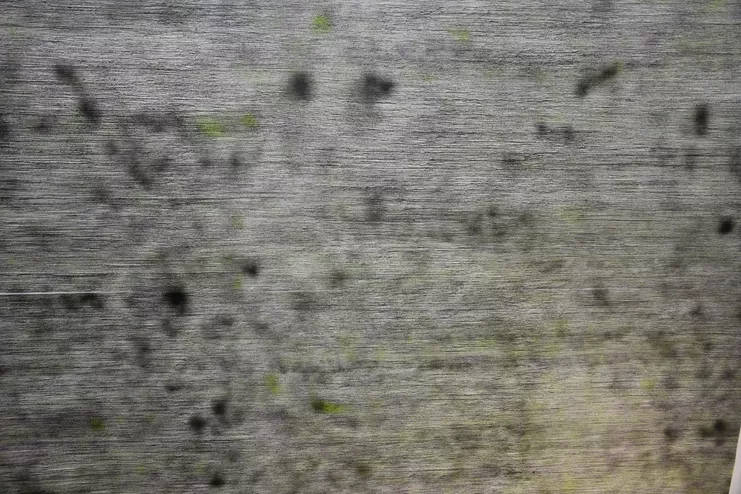 «Logic of a Forest», 2018, Spray and charcoal on paper, 3,50 x 3,00 cm.