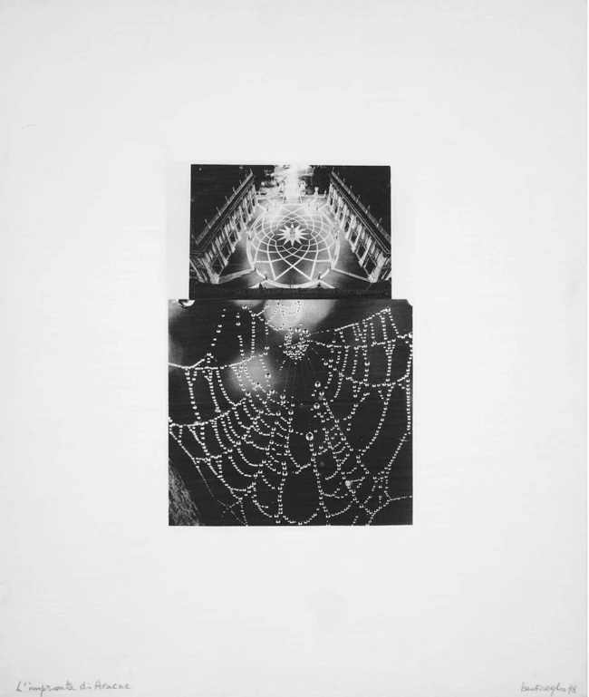 Arachne’s Imprint, 1978 – 1998,photomechanical print on canvas