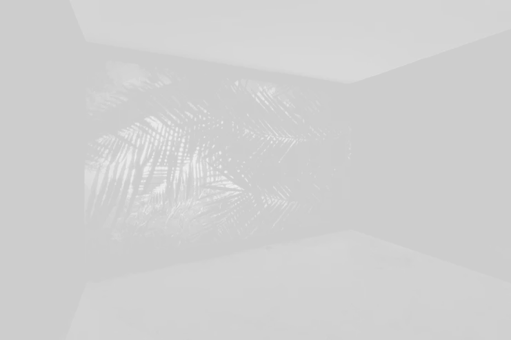 Hajra Waheed, «The Spiral» (2019), Video Installation, 7m 10s. Courtesy of the Artist. Image by Toni Hafkenshied.